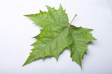 卖疯了！Switch 2美国首周销量超110万台